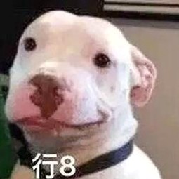 51黑料揭秘娱乐圈最新瓜事与陶昕然花艺秀