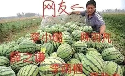 揭秘娱乐圈：从小说主人公小杨到真实明星生活的多面窥探